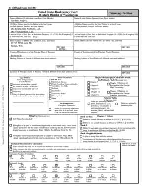 US Bankruptcy Court Voluntary Petition