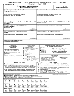 US Bankruptcy Court Voluntary Petition
