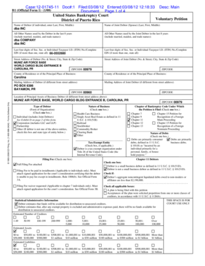 US Bankruptcy Court Voluntary Petition