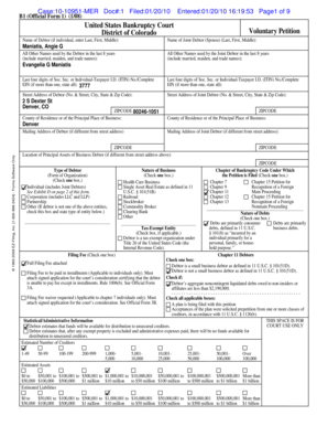 US Bankruptcy Voluntary Petition