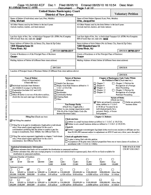 US Bankruptcy Court Voluntary Petition