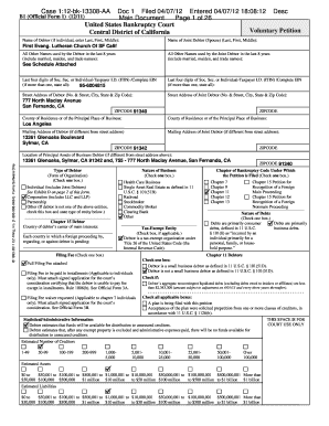 US Bankruptcy Voluntary Petition