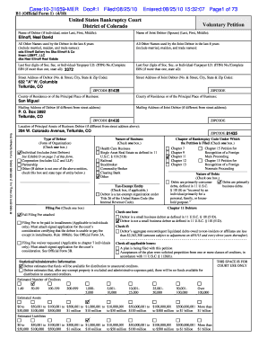 US Bankruptcy Voluntary Petition