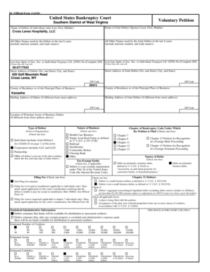 US Bankruptcy Voluntary Petition