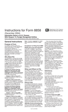 Form 8858 Instructions