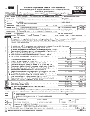 Form 990 2010
