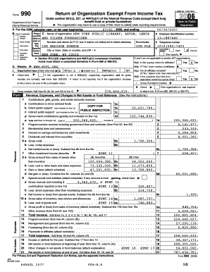 Form 990 2006