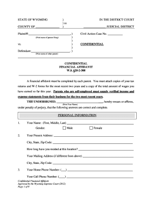 wyoming confidential financial affidavit form