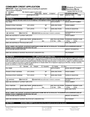 Consumer Credit Application