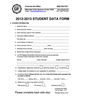 Form preview picture