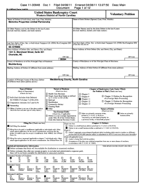 US Bankruptcy Court Voluntary Petition