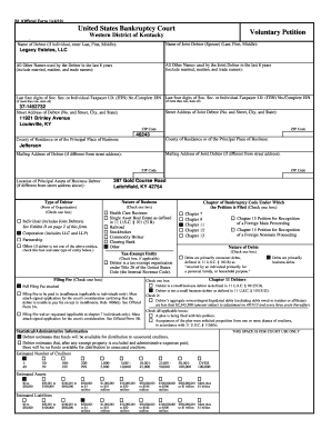 US Bankruptcy Court Voluntary Petition