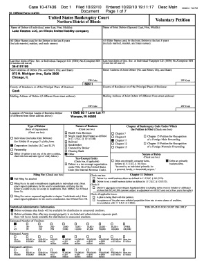 US Bankruptcy Court Voluntary Petition
