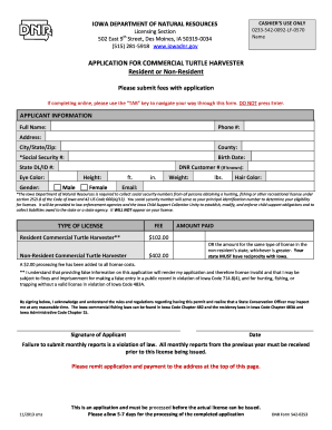 Form preview picture