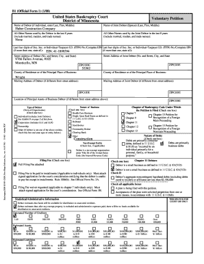 mn bankruptcy filable petition form