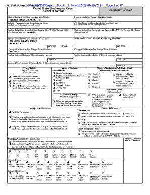 US Bankruptcy Court Voluntary Petition
