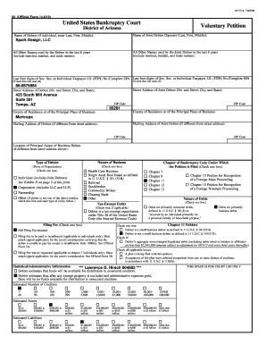 Form preview picture