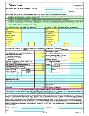 Personal Financial Statement Form