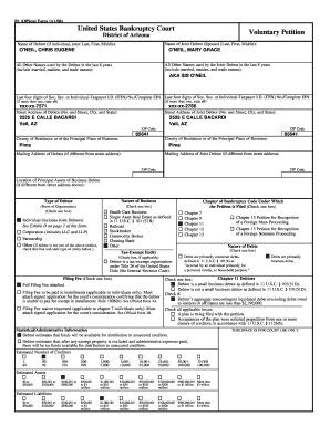 US Bankruptcy Voluntary Petition Form