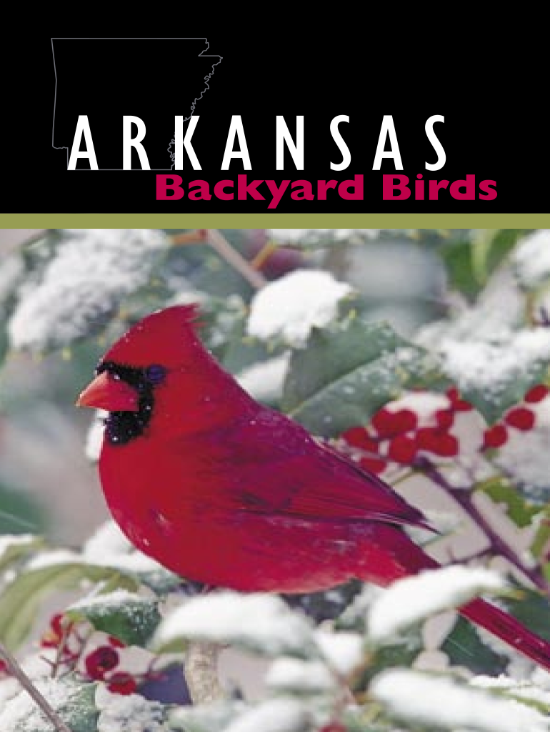 ar birds Preview on Page 1