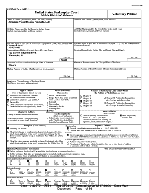 US Bankruptcy Court Voluntary Petition