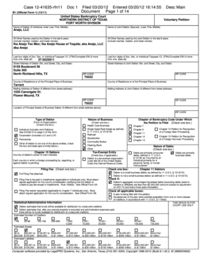 US Bankruptcy Voluntary Petition