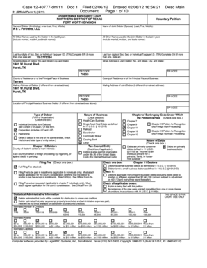 US Bankruptcy Court Voluntary Petition