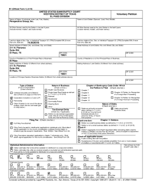 US Bankruptcy Voluntary Petition Form