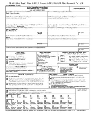US Bankruptcy Court Voluntary Petition