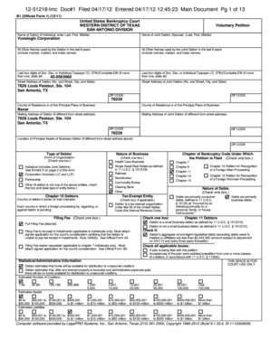 US Bankruptcy Voluntary Petition