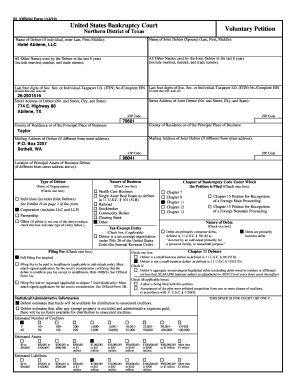 US Bankruptcy Court Voluntary Petition