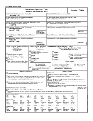 US Bankruptcy Court Voluntary Petition