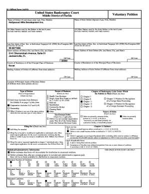 US Bankruptcy Court Voluntary Petition