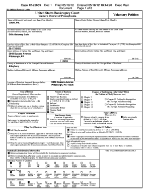 US Bankruptcy Court Voluntary Petition