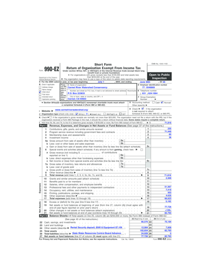 Form 990-EZ 2004