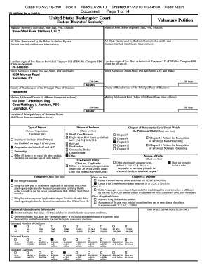 US Bankruptcy Court Voluntary Petition