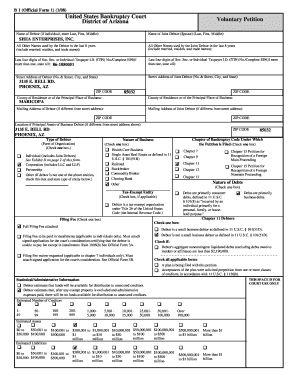 US Bankruptcy Court Voluntary Petition