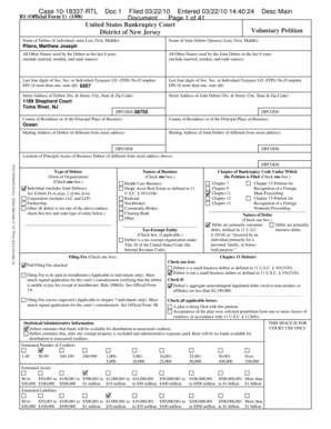 US Bankruptcy Court Voluntary Petition
