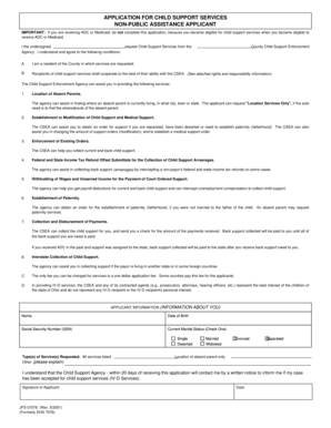 Ohio Child Support Services Application