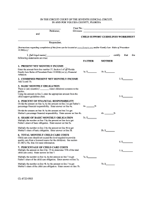 Florida Child Support Guidelines Worksheet