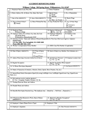 Form preview picture