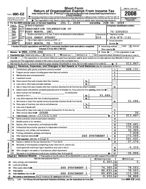 Form 990-EZ 2008