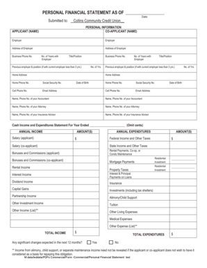 Personal Financial Statement Form