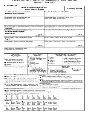 US Bankruptcy Voluntary Petition
