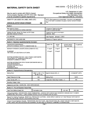 Form preview picture