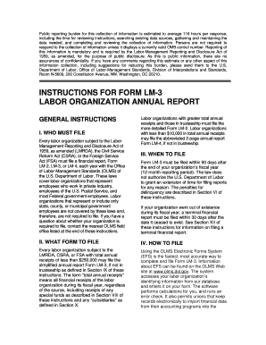 instructions for form lm 3 labor organization annual report fill form lm 3