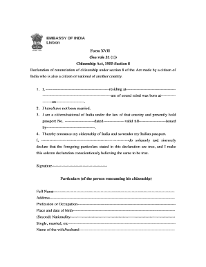 indembassy new york form