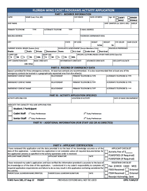 Form preview picture