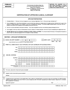 Form preview picture