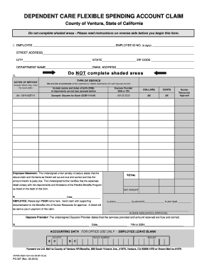 Dependent Care Flexible Spending Account Claim